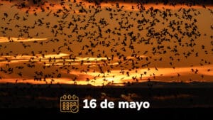 Imagen 16 de mayo - UGPP